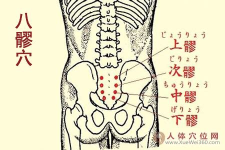 八廖|八髎穴（上、次、中、下髎）详解